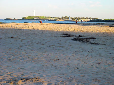 north_beach_001