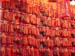chinatown_43