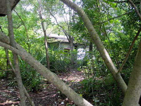 pulau_sejahat_115