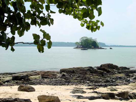 pulau_sejahat_117