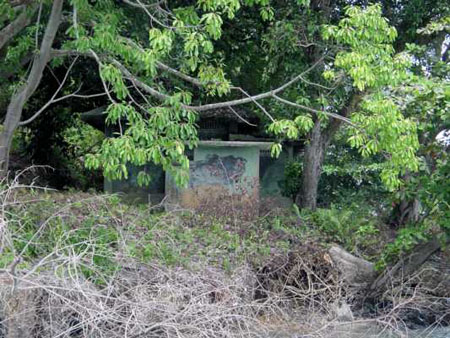 pulau_sejahat_130