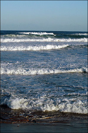 sandon_point_097
