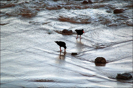 sandon_point_103