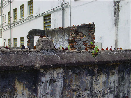 nr_bencoolen_st_08