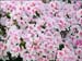 ntu_scenes_01