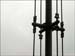 ntu_scenes_10