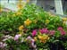 ntu_scenes_13