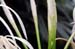 july_2005_074