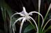 july_2005_075