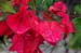 july_2005_084